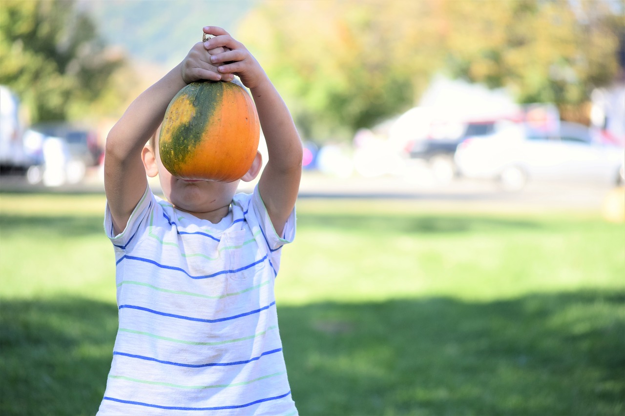 Image - boy pumpkin harvest festival