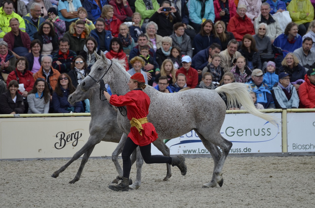 Image - main and state stud marbach