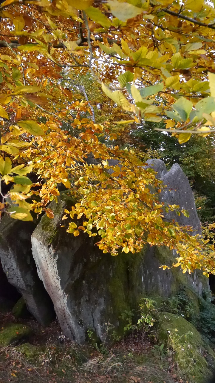 Image - palatinate rock autumn