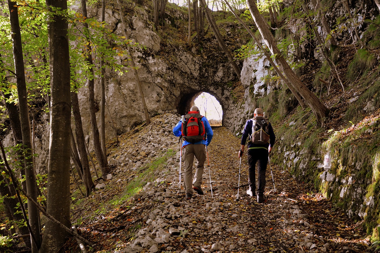 Image - excursion forest autumn trail