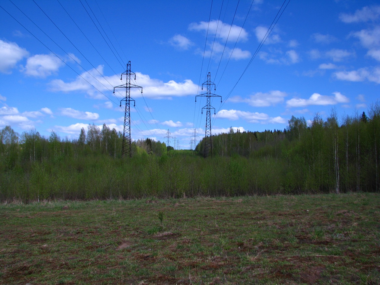 Image - forest line support electricity