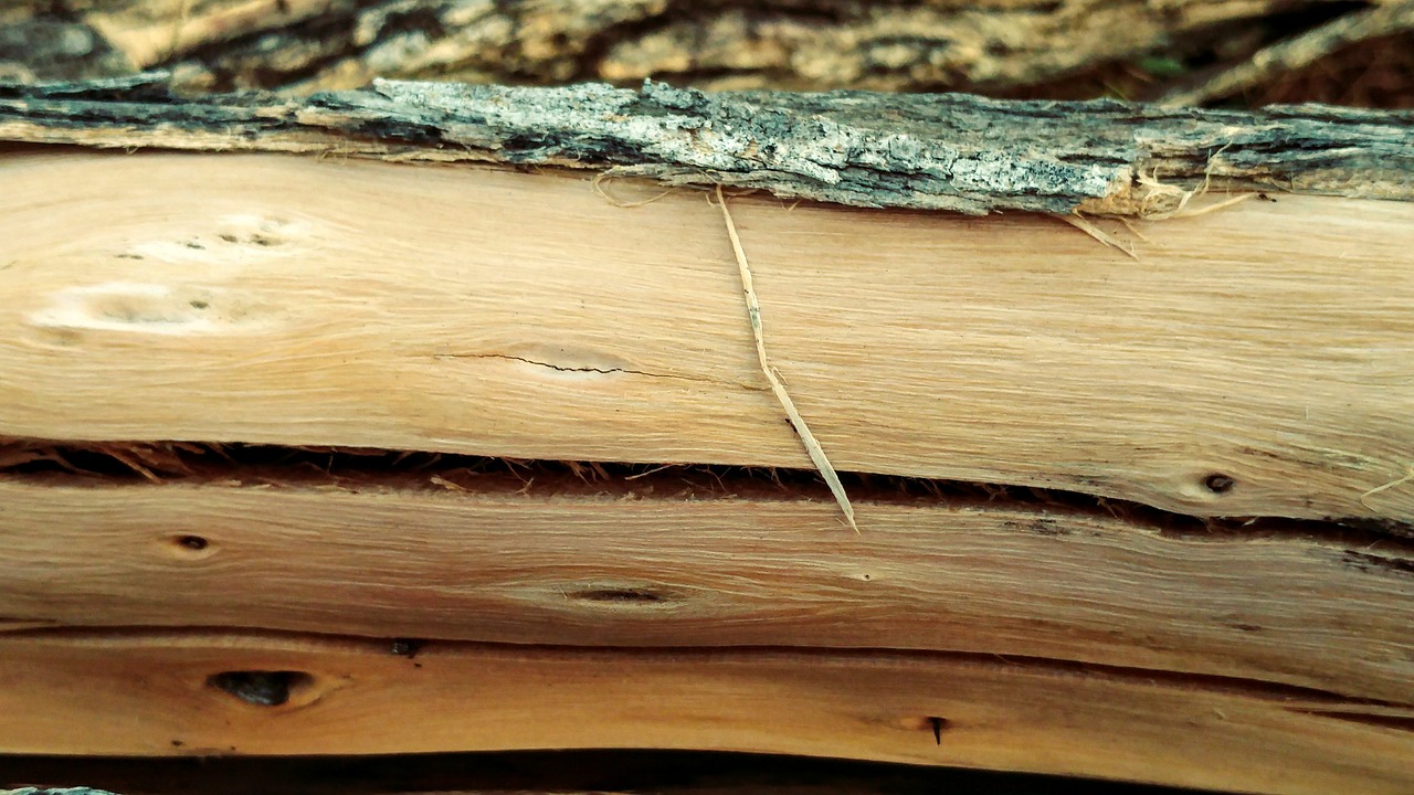 Image - wood log bark timber lumber