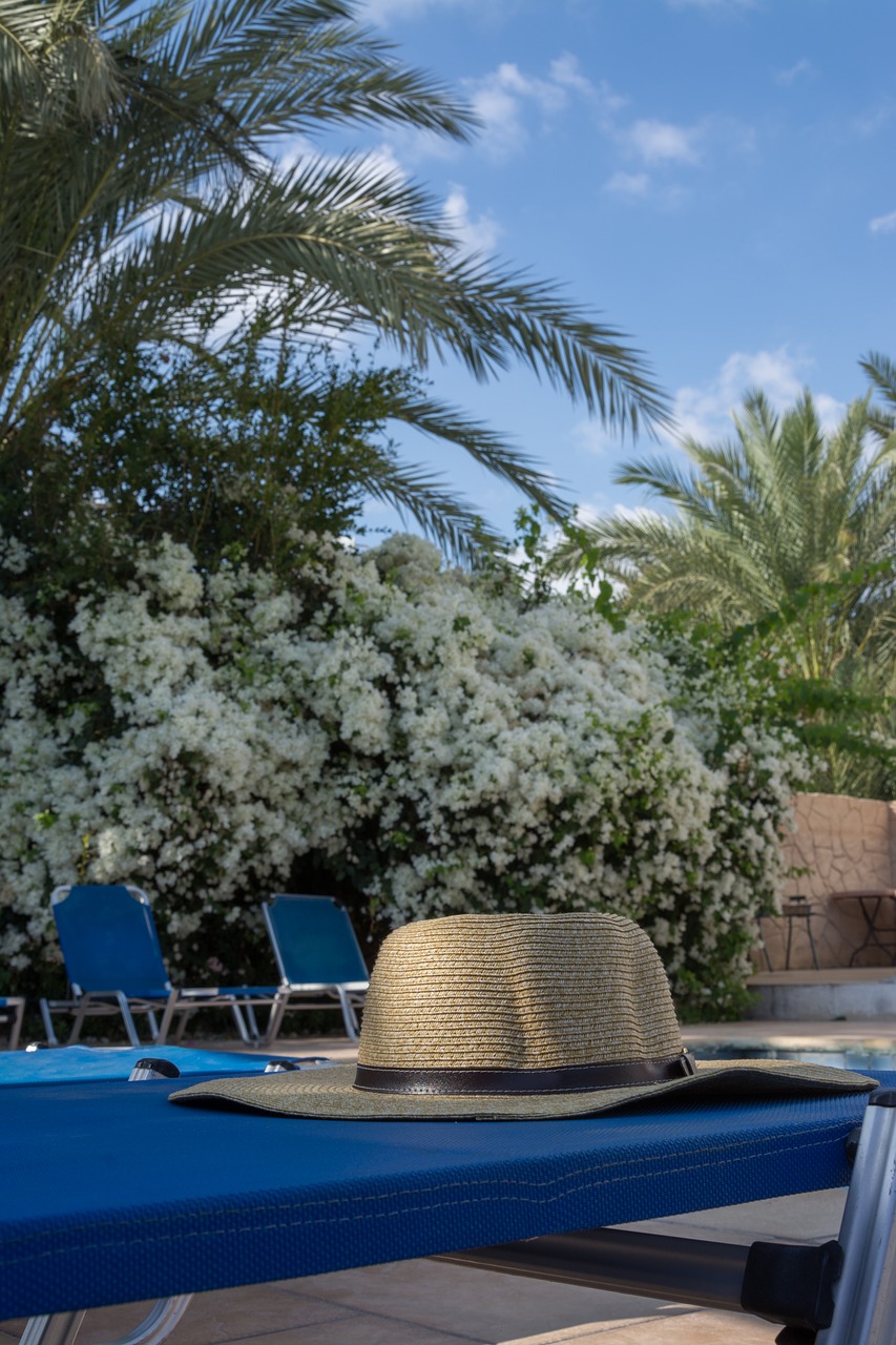 Image - holiday pool vacation swimming hat