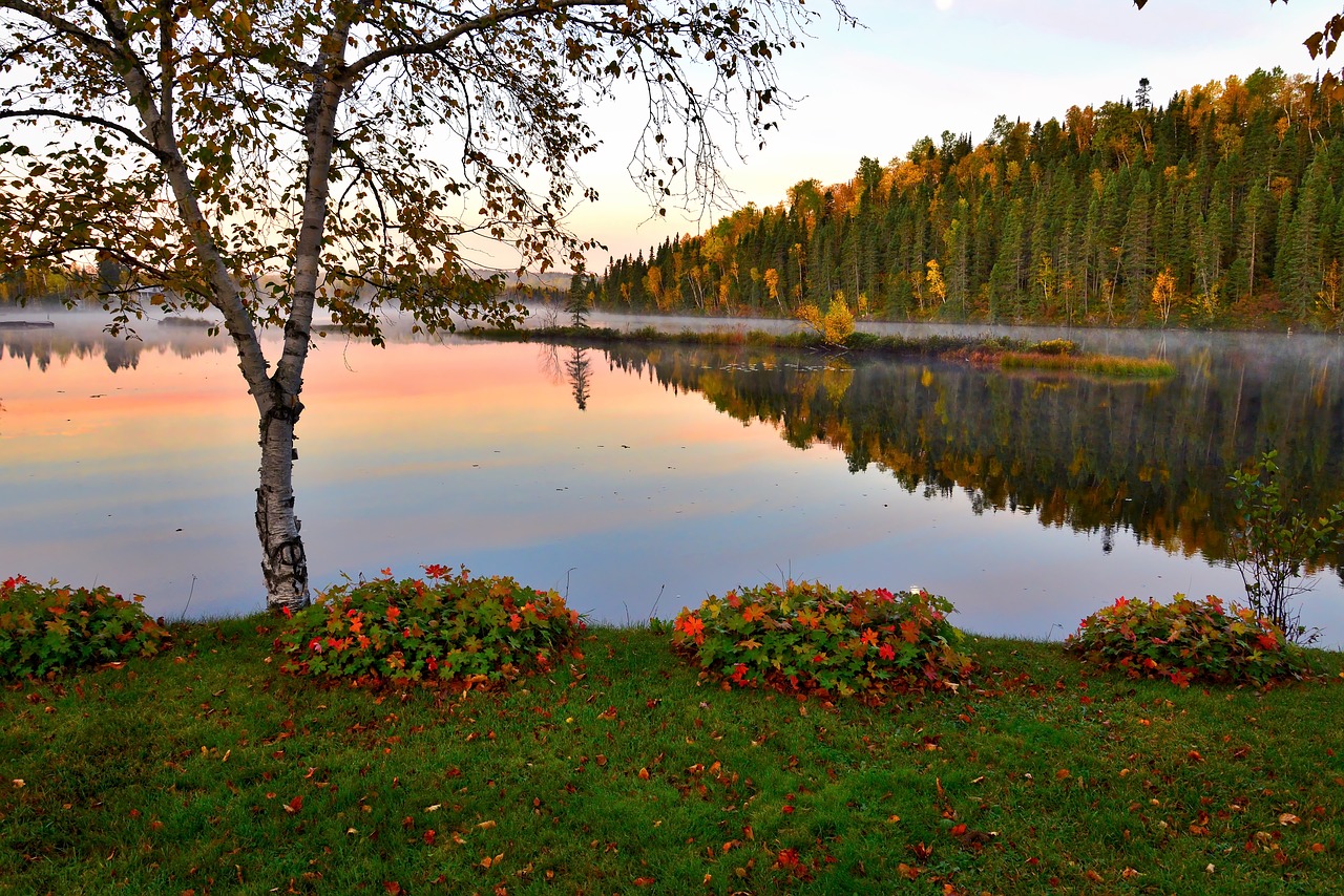 Image - autumn landscape lake trees foliage