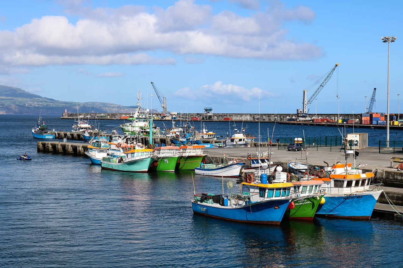 Image - landscape porto boat fishing mar