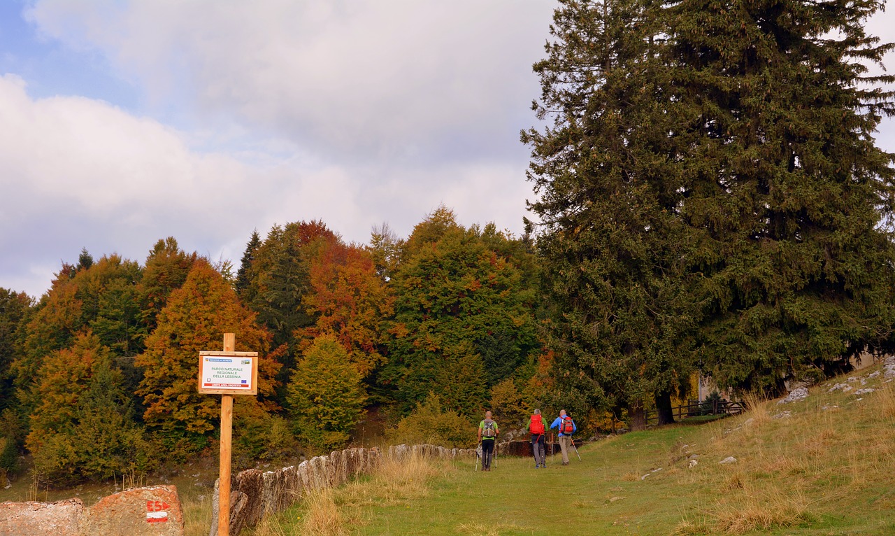 Image - excursion forest autumn trail