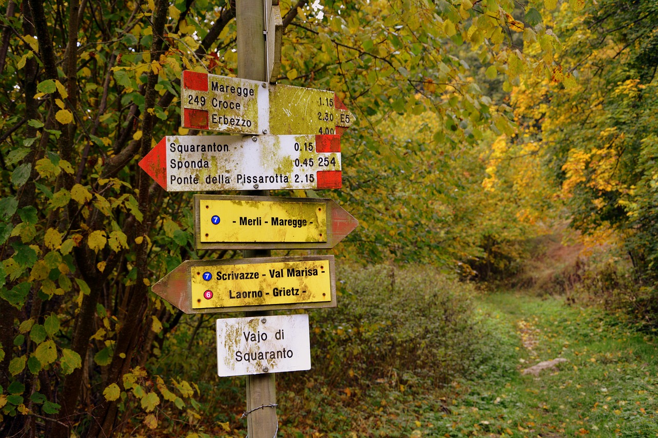 Image - signal indication excursion forest