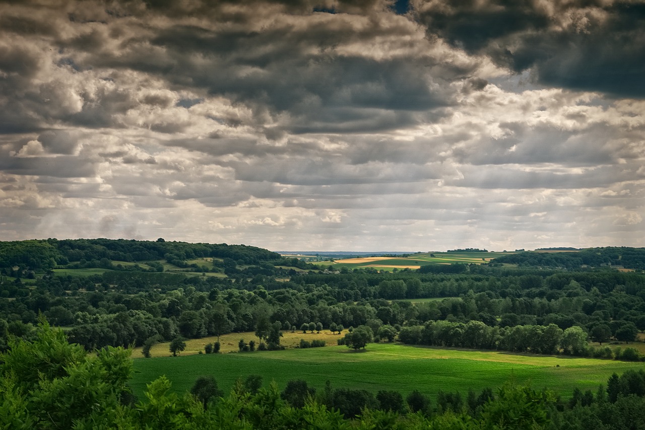 Image - chinon indre et loire sky hedgerow