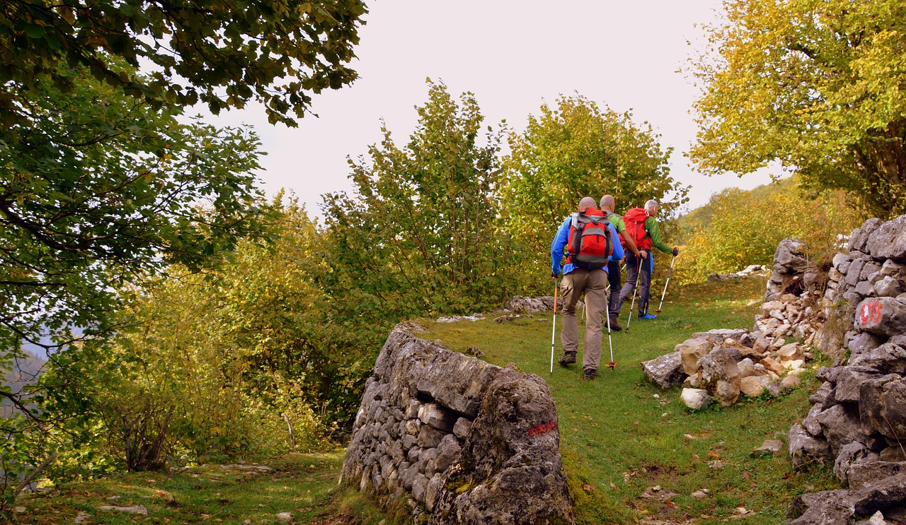 Image - excursion forest autumn trail