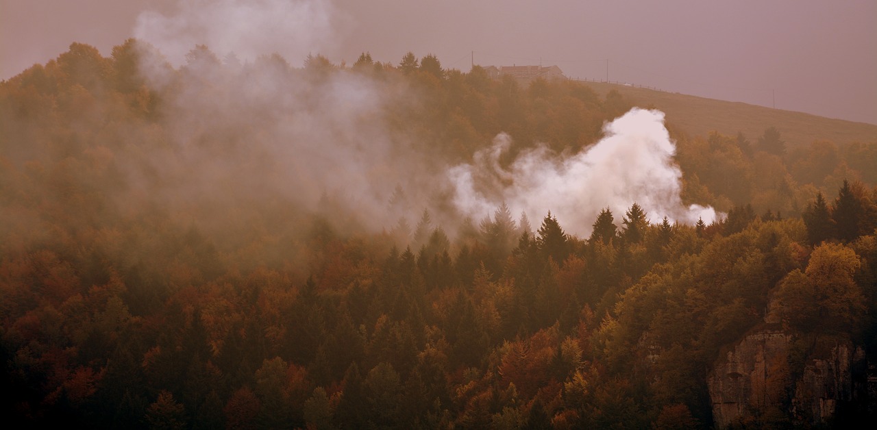 Image - fire forest autumn fog mist