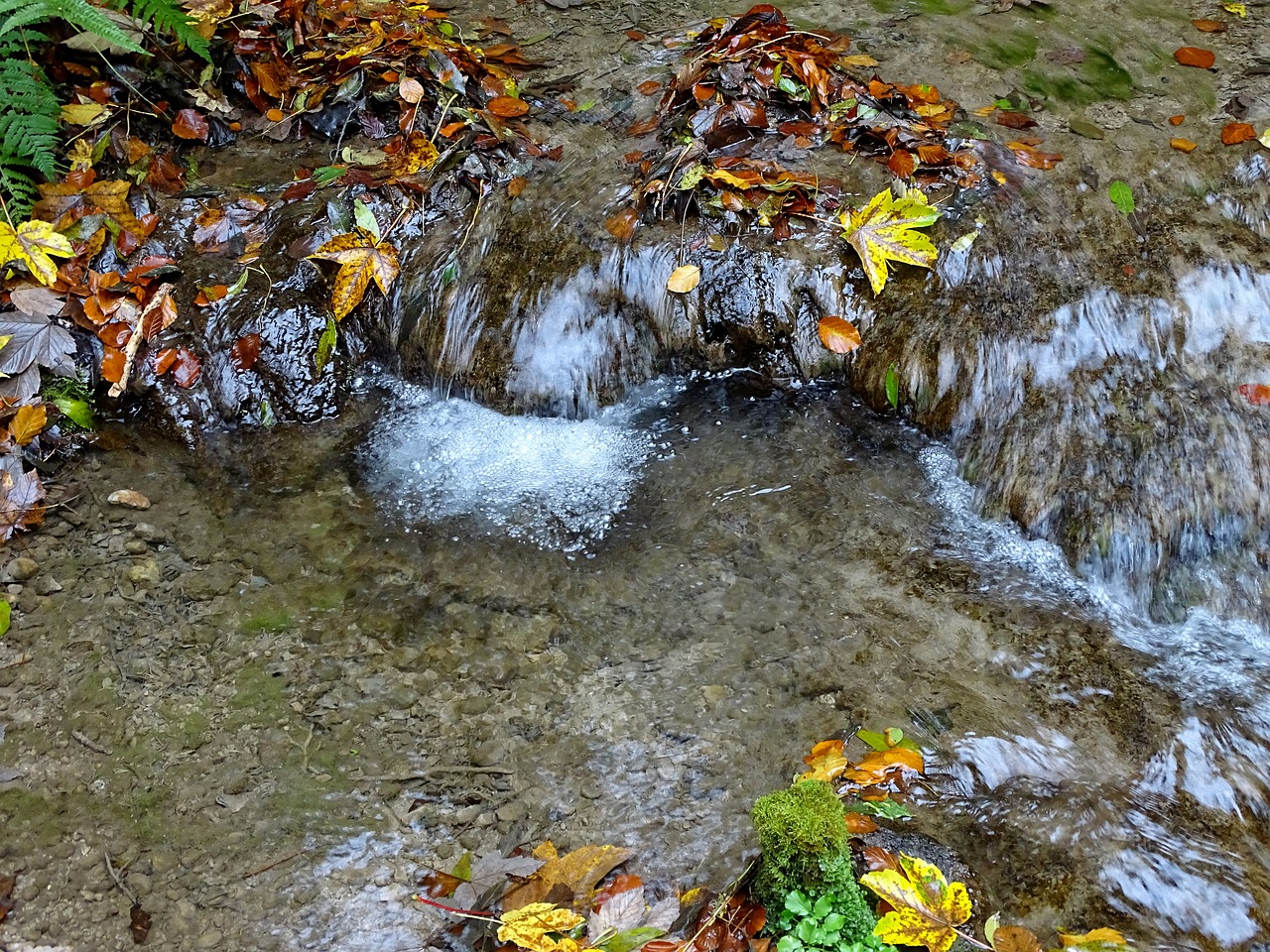 Image - water bach autumn waterfall forest