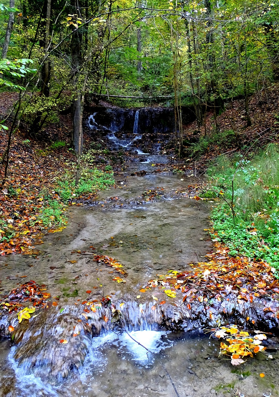 Image - creek bach nature water running