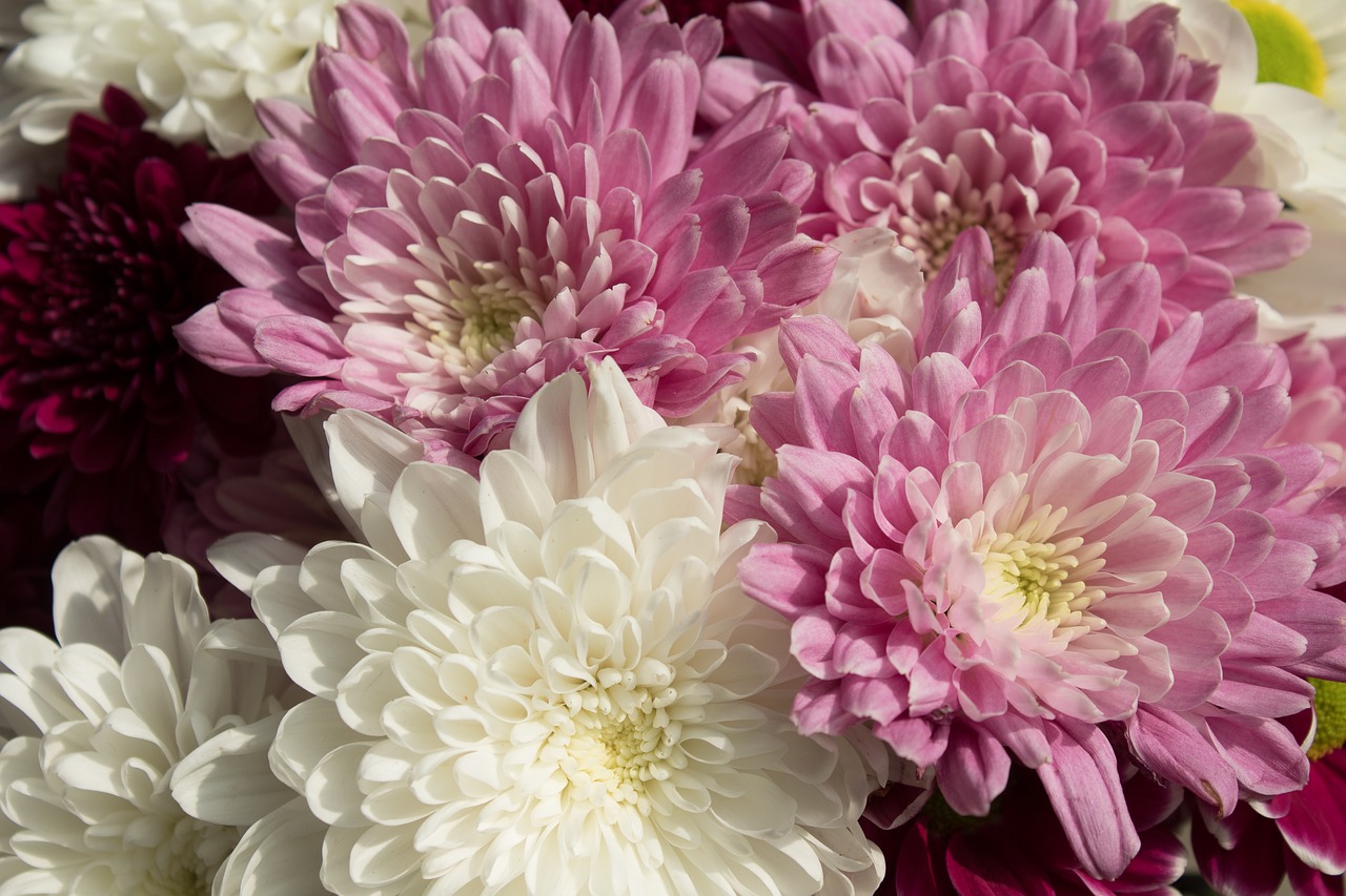 Image - bouquet flowers flowering brilliant