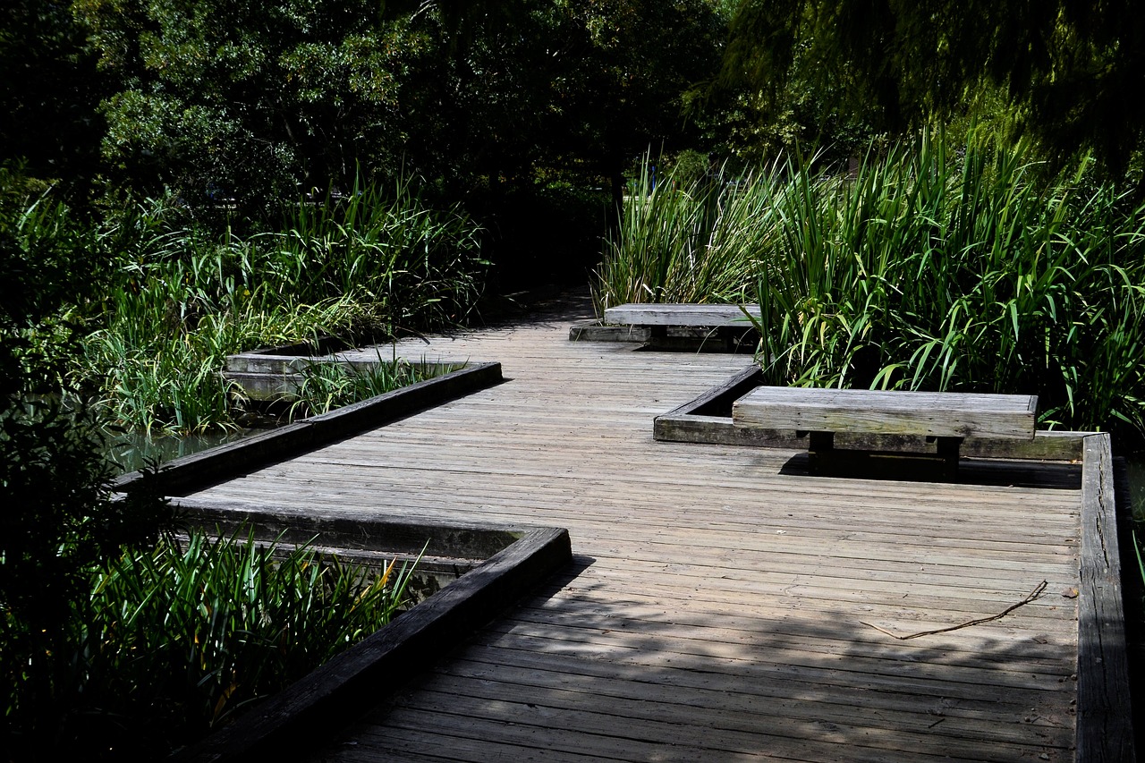 Image - herman park path over creek