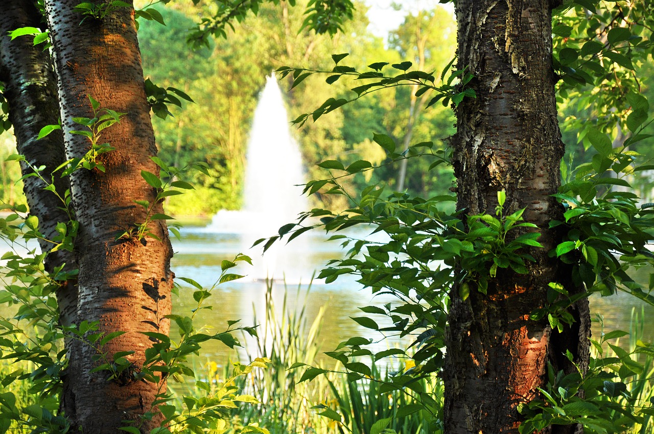 Image - park trees pond fountain view