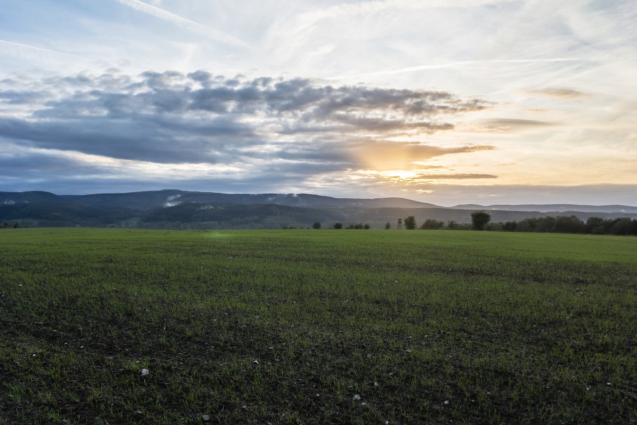 Image - sunset meadow money spacious