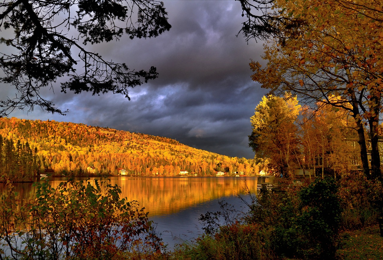 Image - fall autumn landscape foliage trees