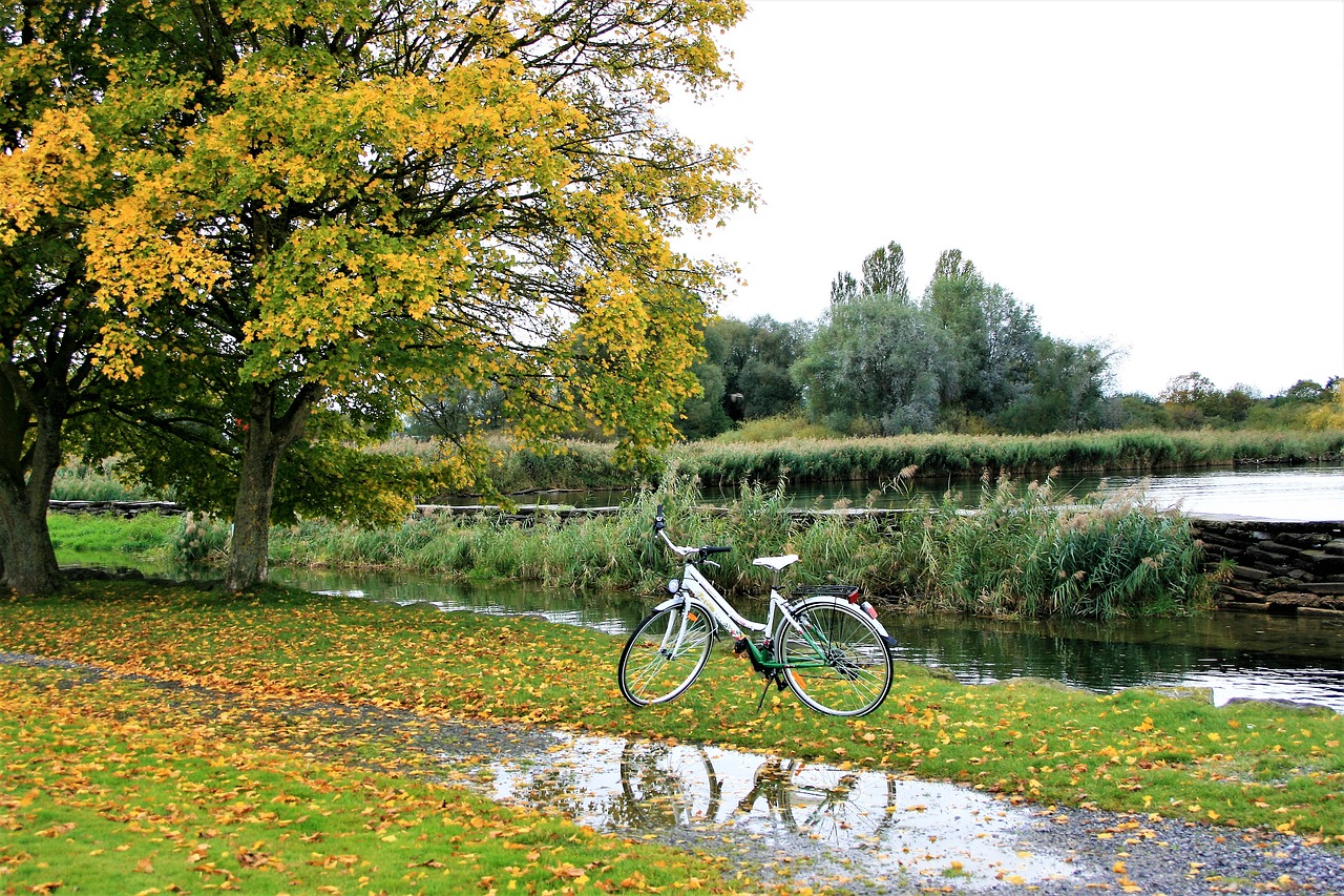 Image - bike autumn gold foliage beach
