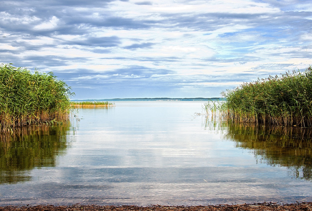 Image - balmer see island of usedom nature