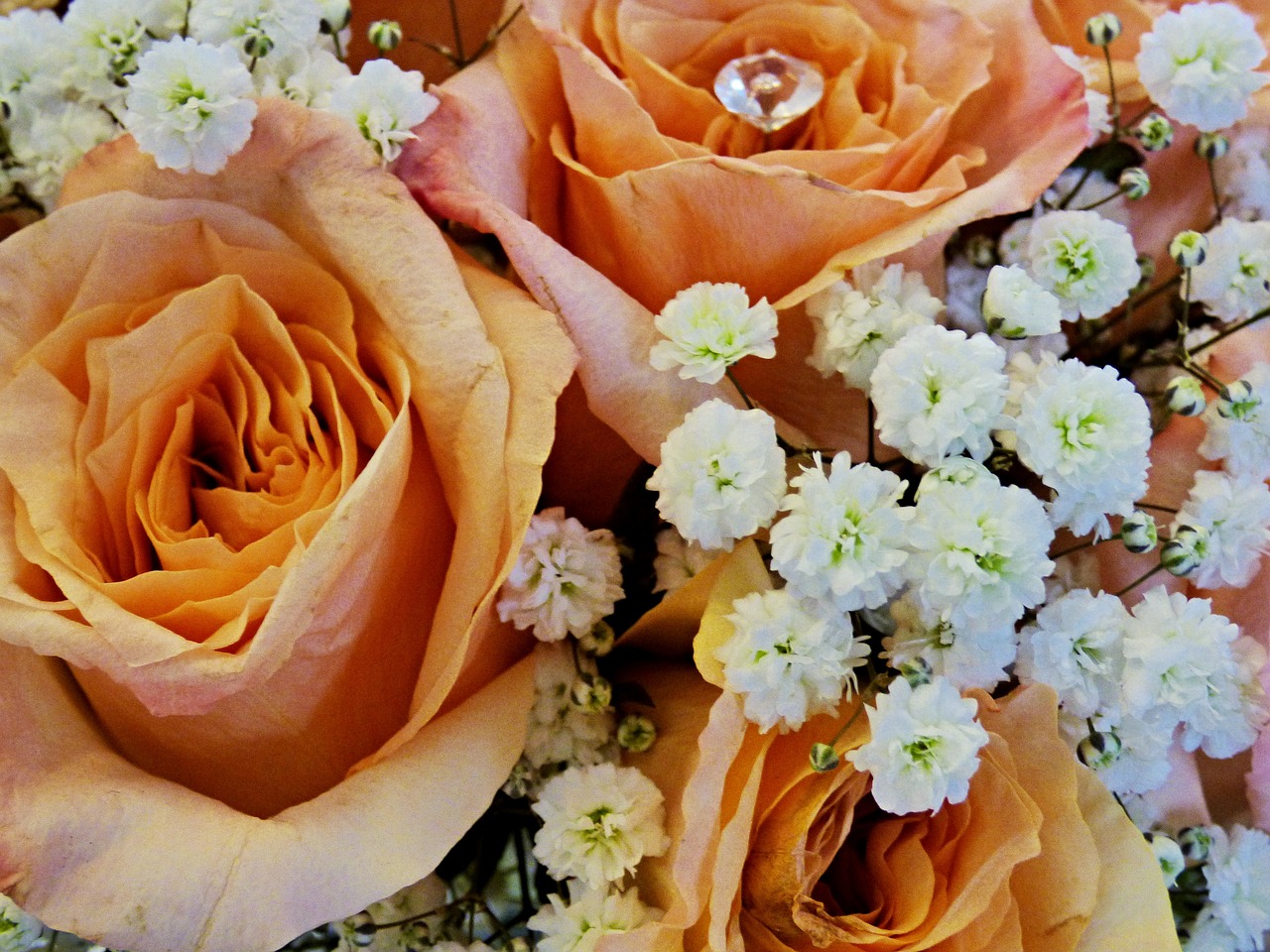 Image - bouquet rose wedding orange