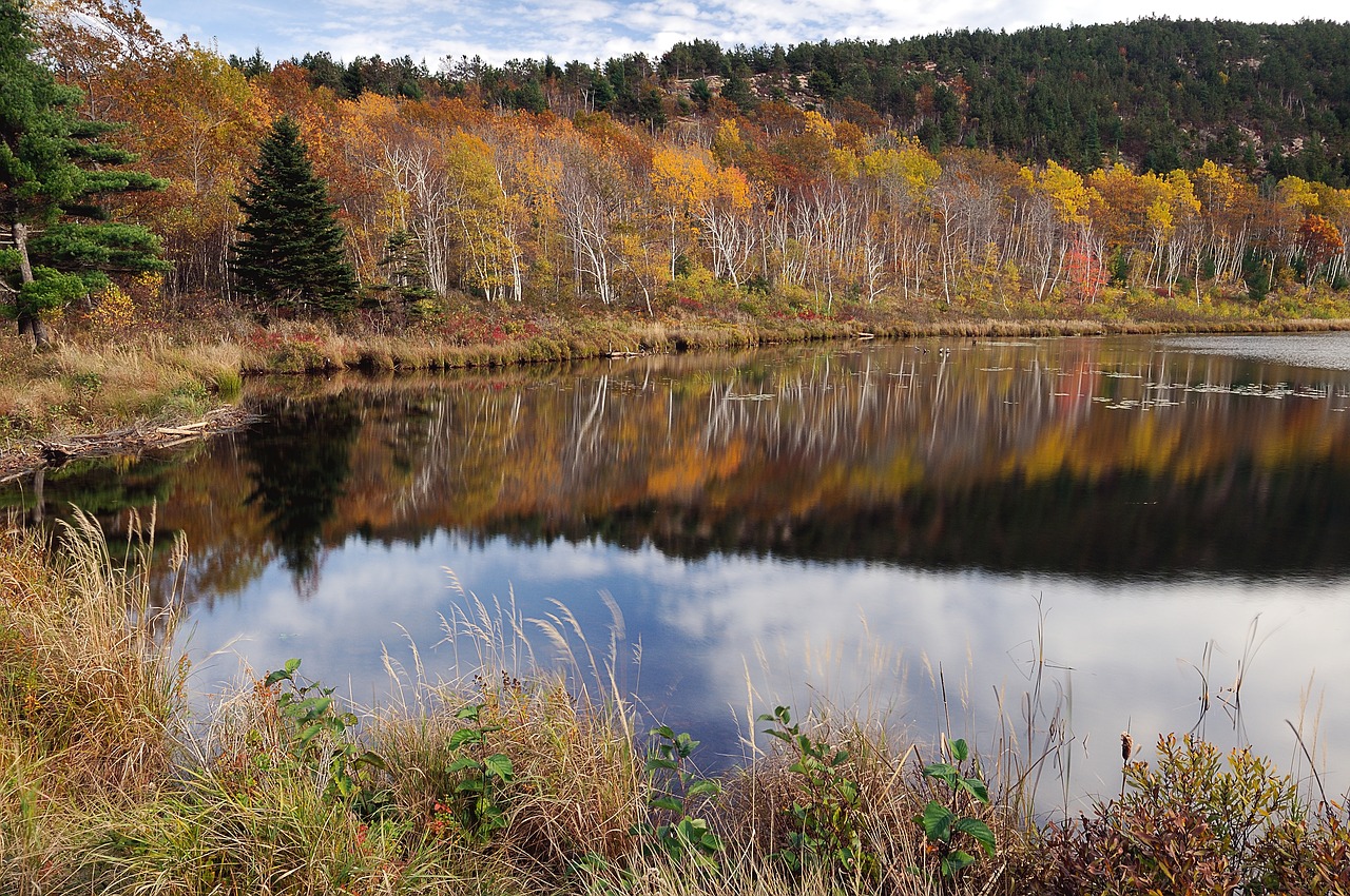 Image - seascape water mirroring waters