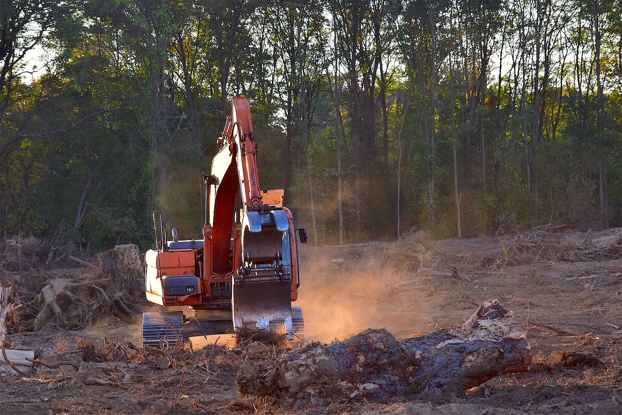 Image - deforestation machine truck