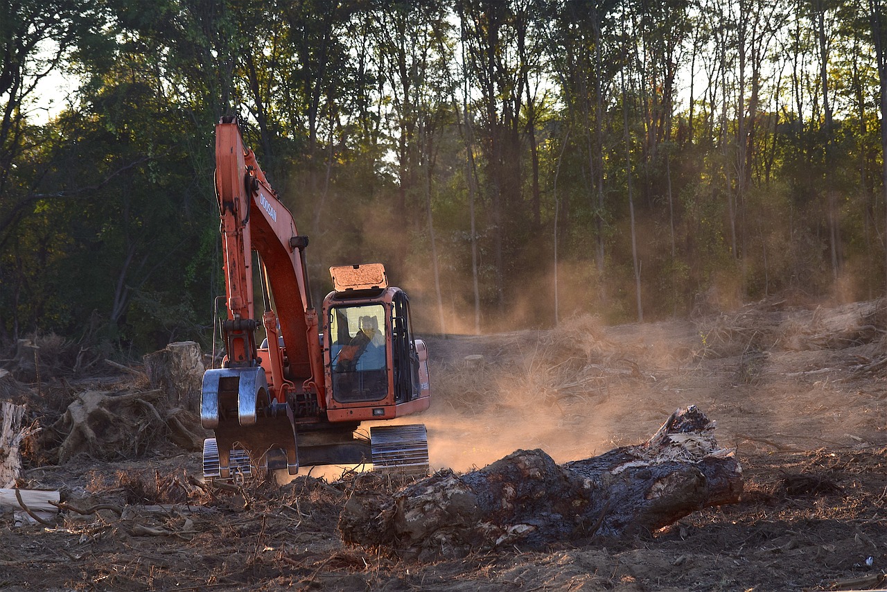 Image - deforestation machine truck