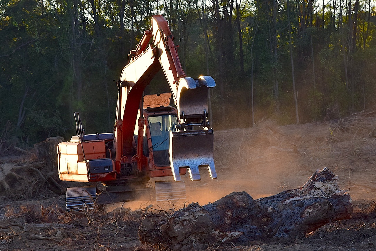 Image - deforestation machine truck
