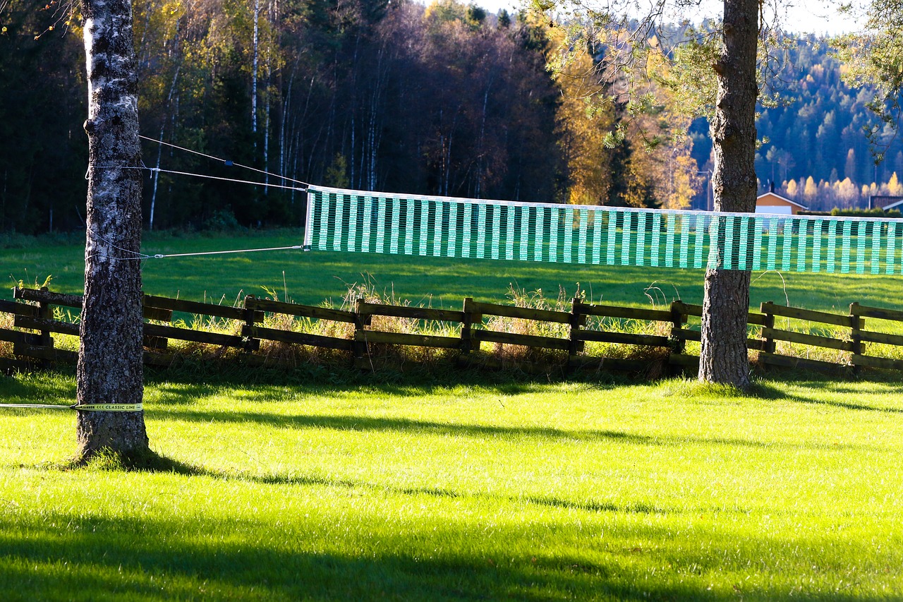 Image - net volleyball net grass landscape