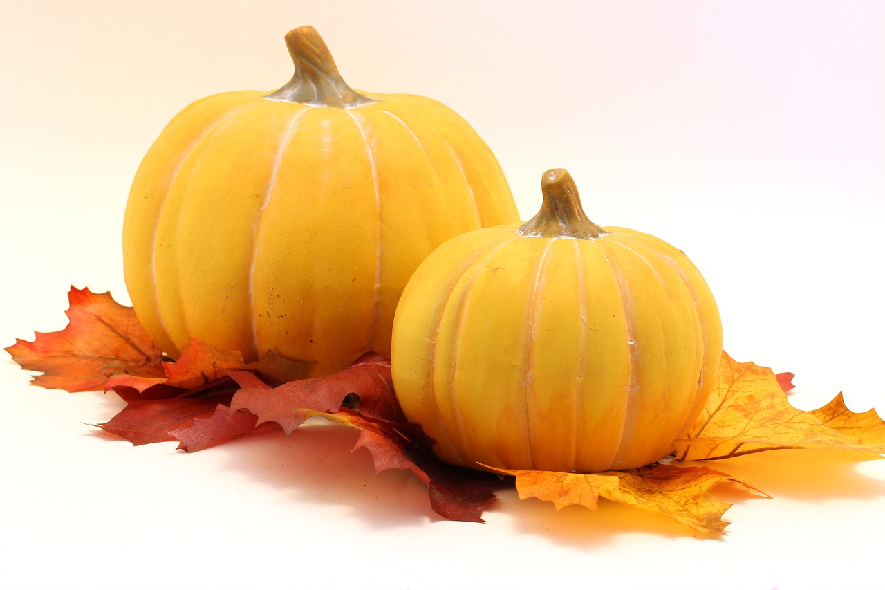 Image - pumpkin leaves halloween autumn