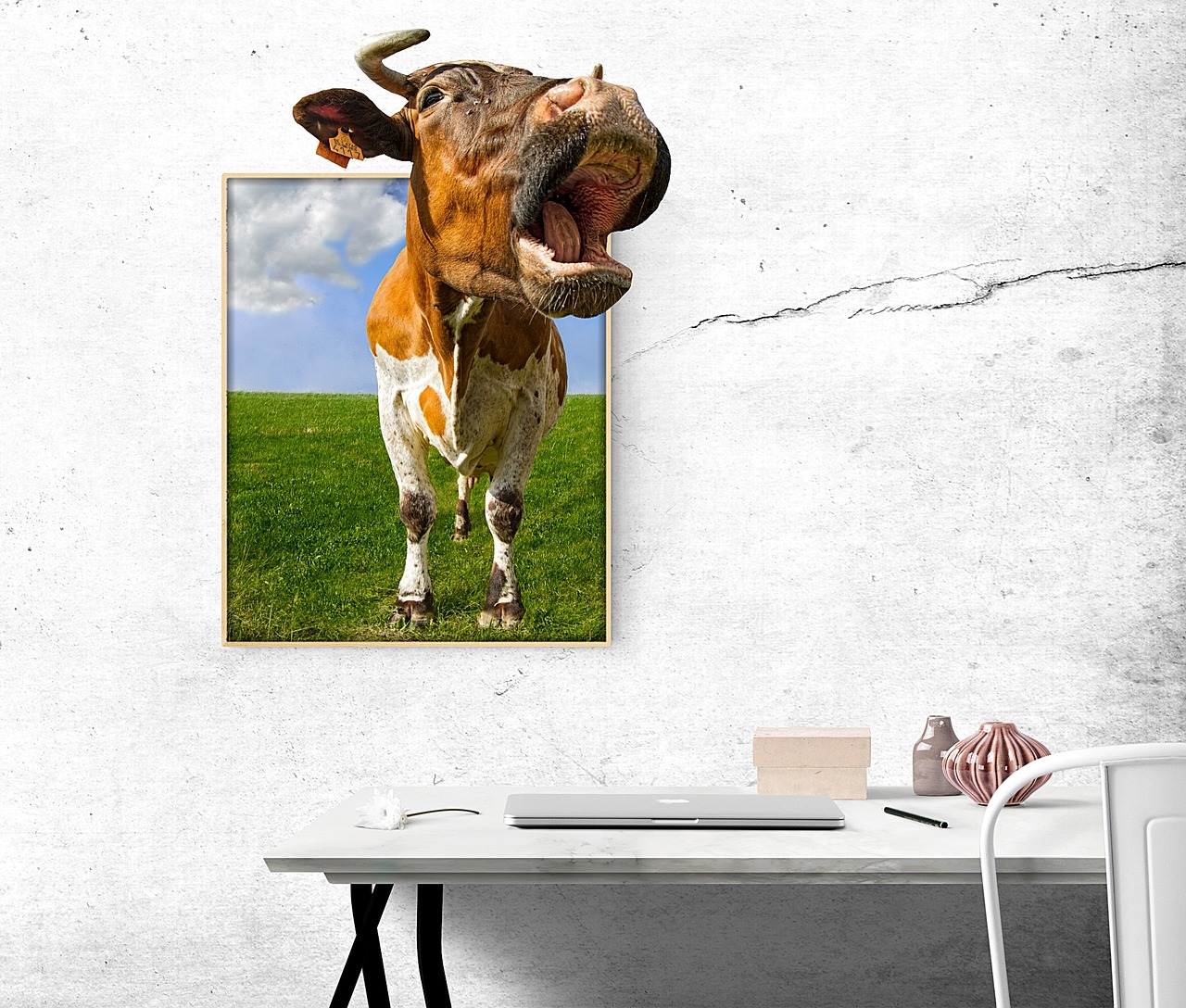 Image - image desk cow funny office 3d