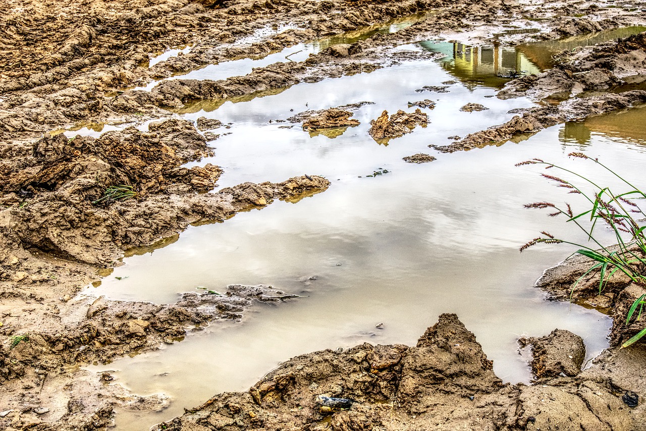 Image - puddle mud water water puddle