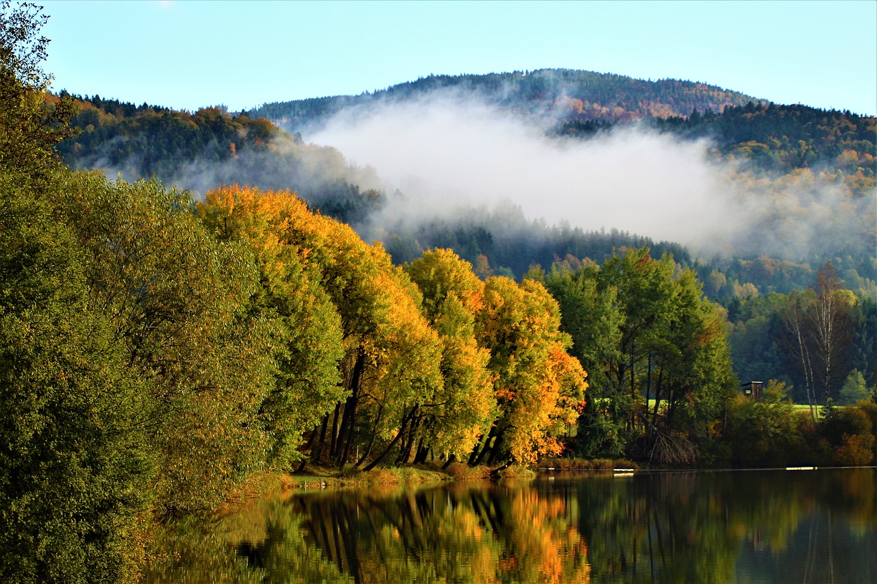 Image - klaffer autumn tree