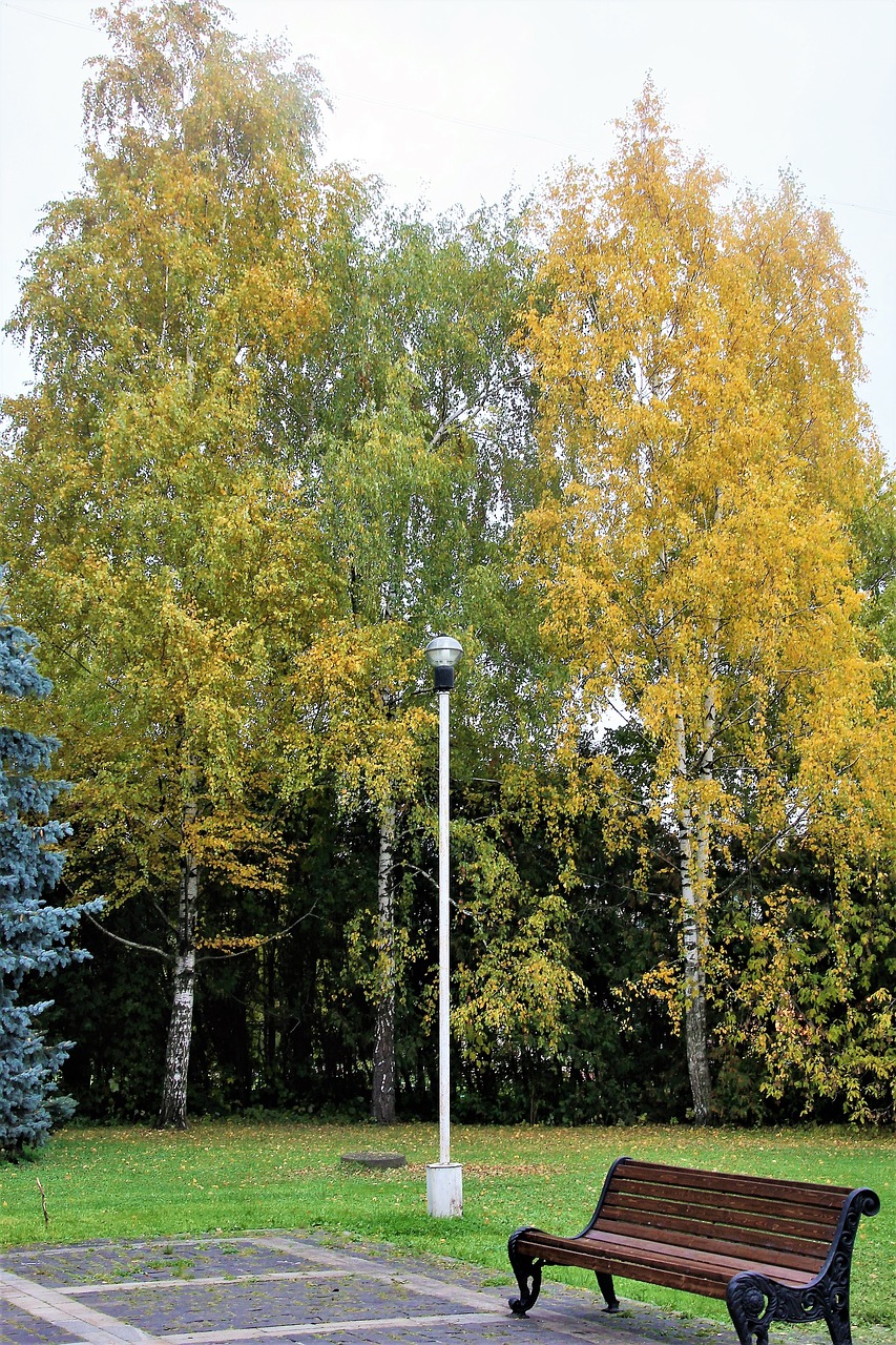 Image - bench lantern autumn park trees