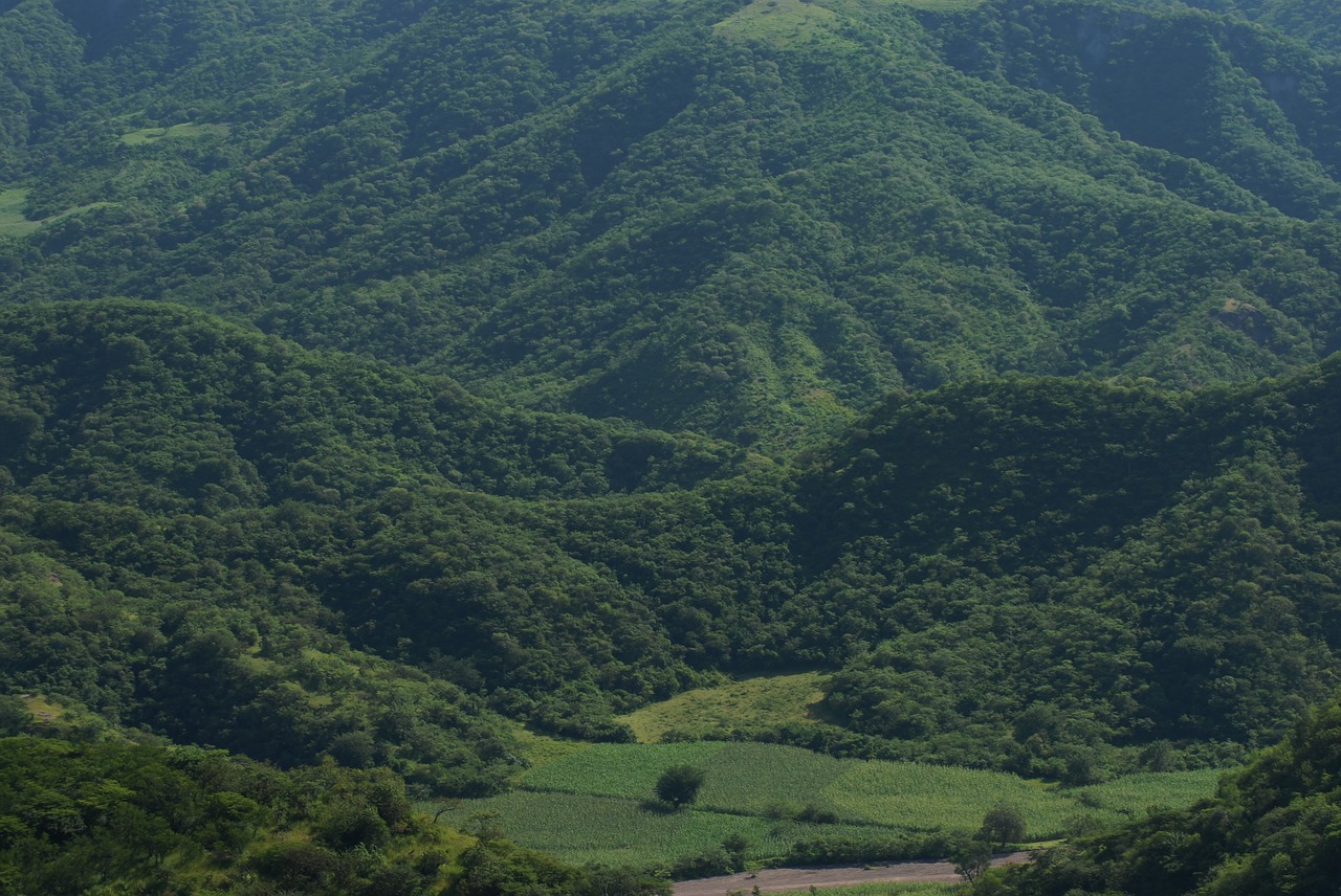 Image - tlapa de comonfort corn field