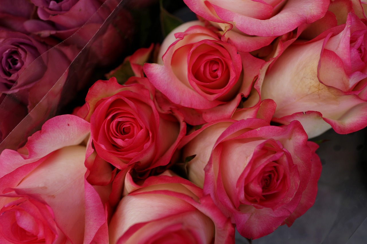 Image - red roses florist gifts love