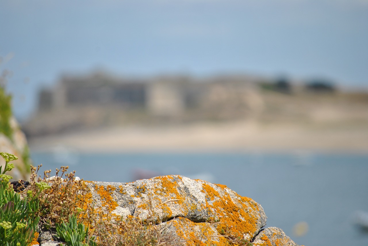 Image - brittany sea rock shore