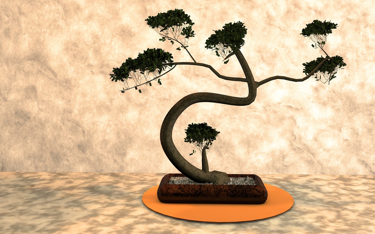 Image - bonsai plant harmony nature tree