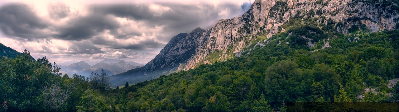 Image - tack her up mountain forest clouds