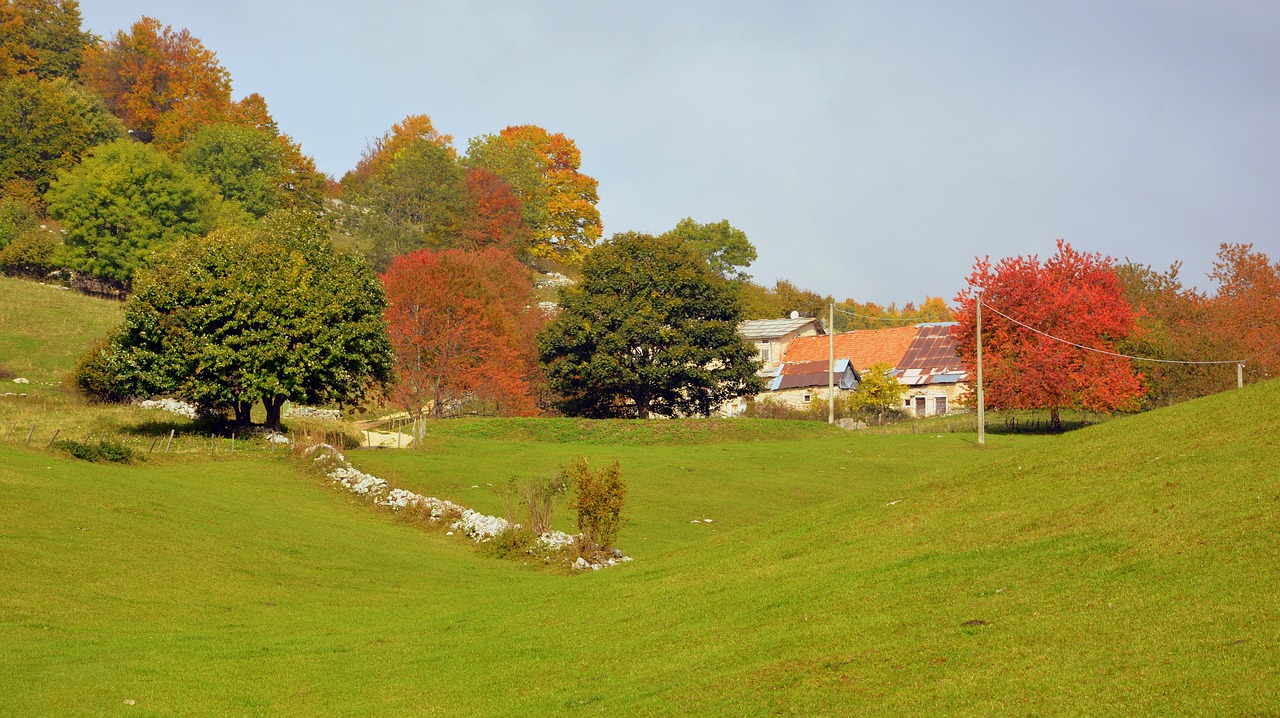 Image - autumn trees prato borgo houses