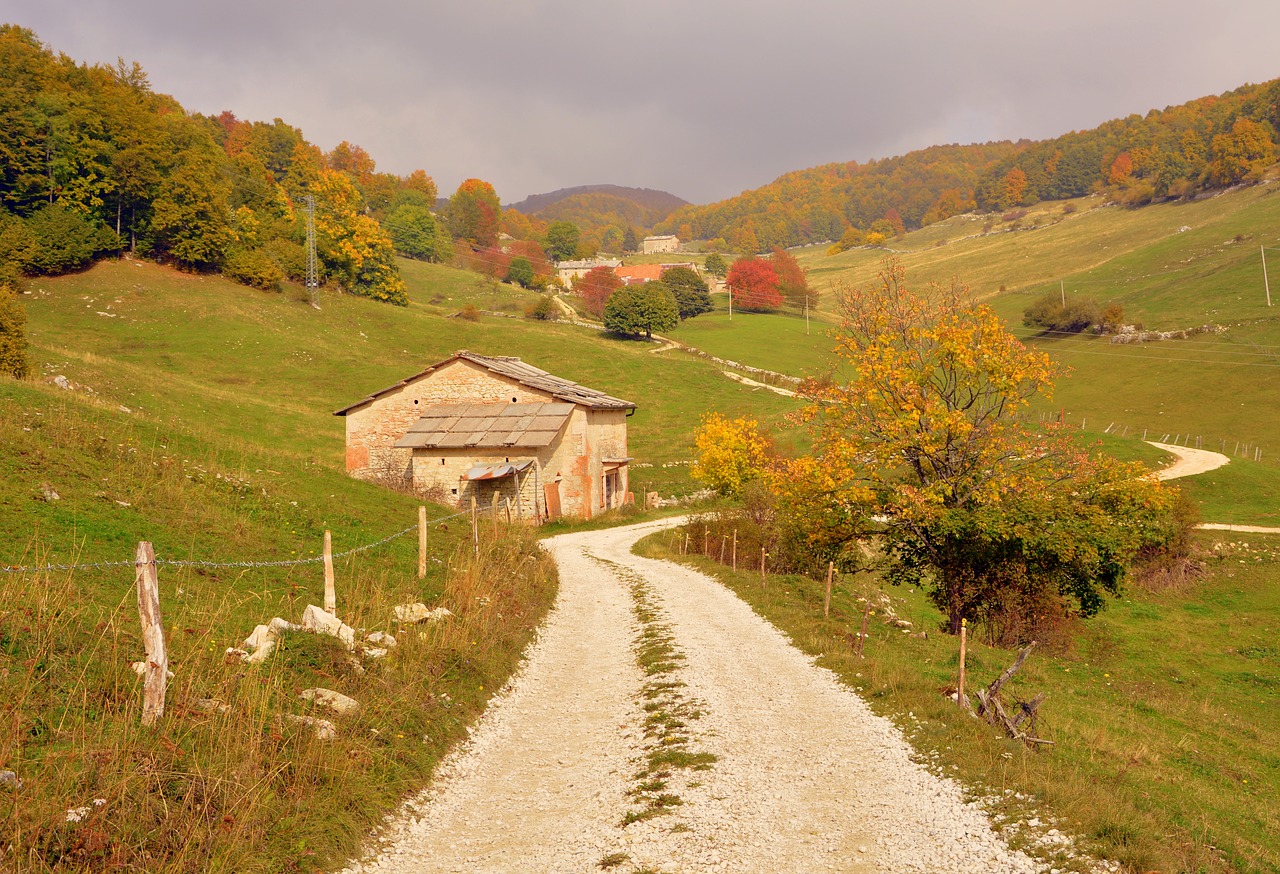 Image - road mountain house trees forest