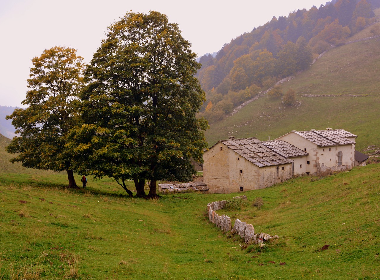 Image - hiking trees borgo houses autumn