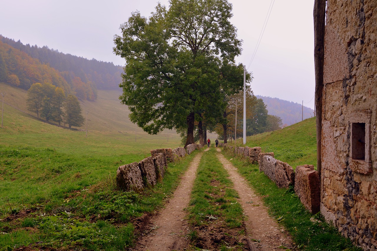 Image - trail via trees mountain path