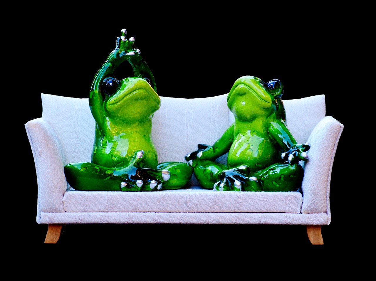 Image - frog sofa relaxation rest funny