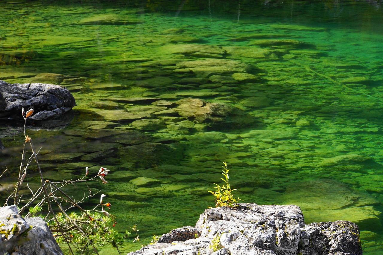 Image - lake water pond green lake green