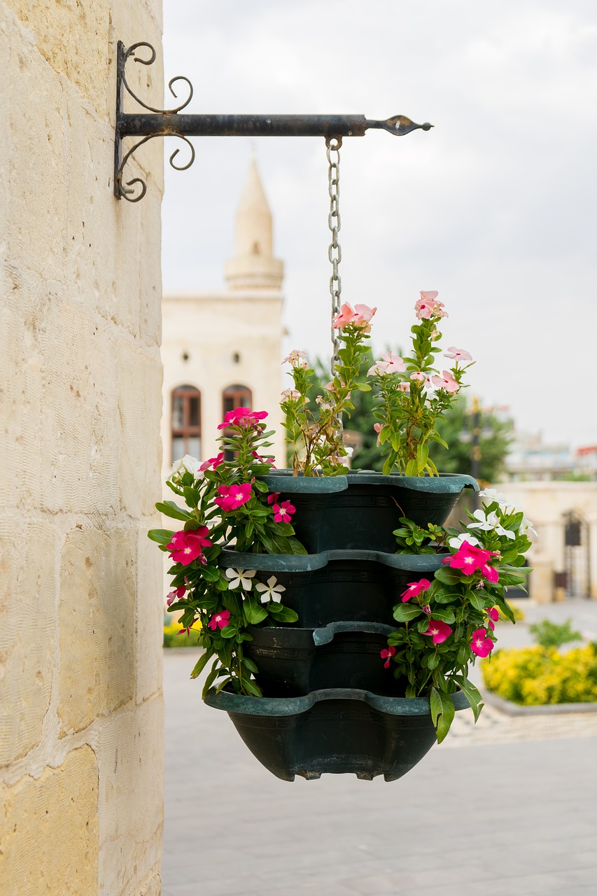 Image - flower basket flower beautiful