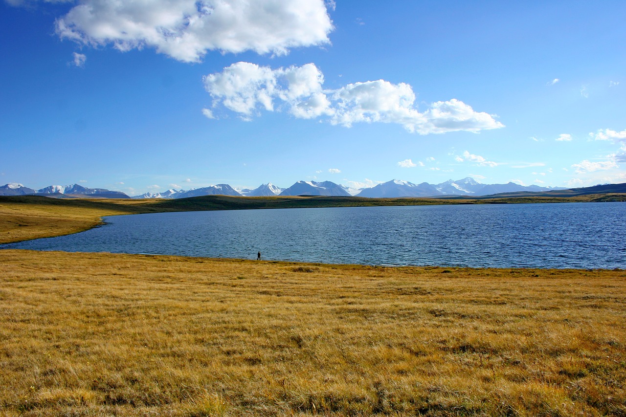 Image - cordinal bass altai ukok