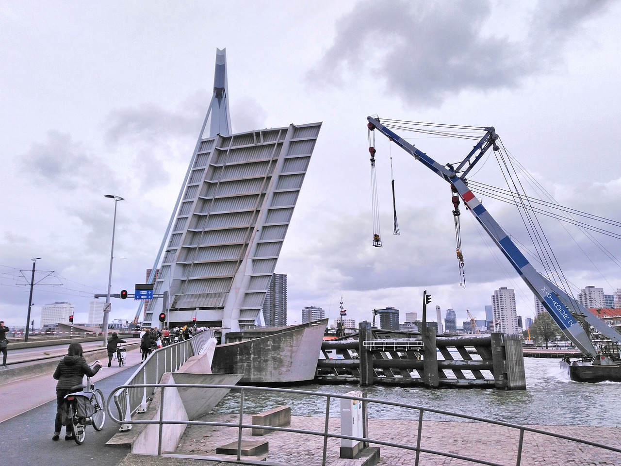 Image - bridge rotterdam mesh maasstad