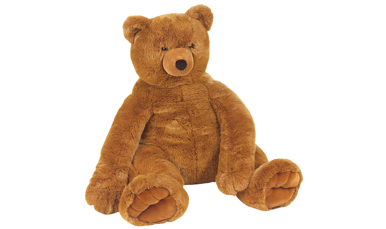 Image - teddy bear teddy bear isolated