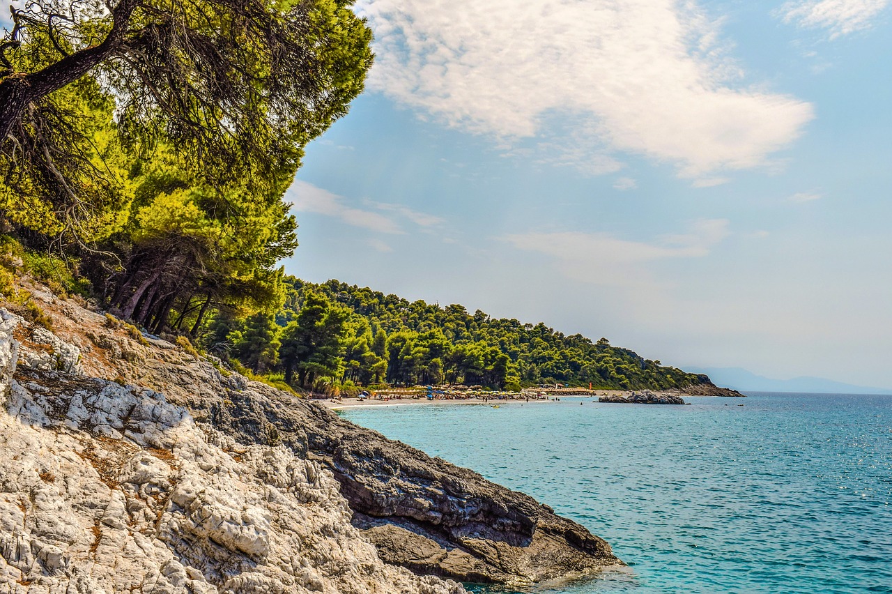 Image - greece skopelos kastani beach trees